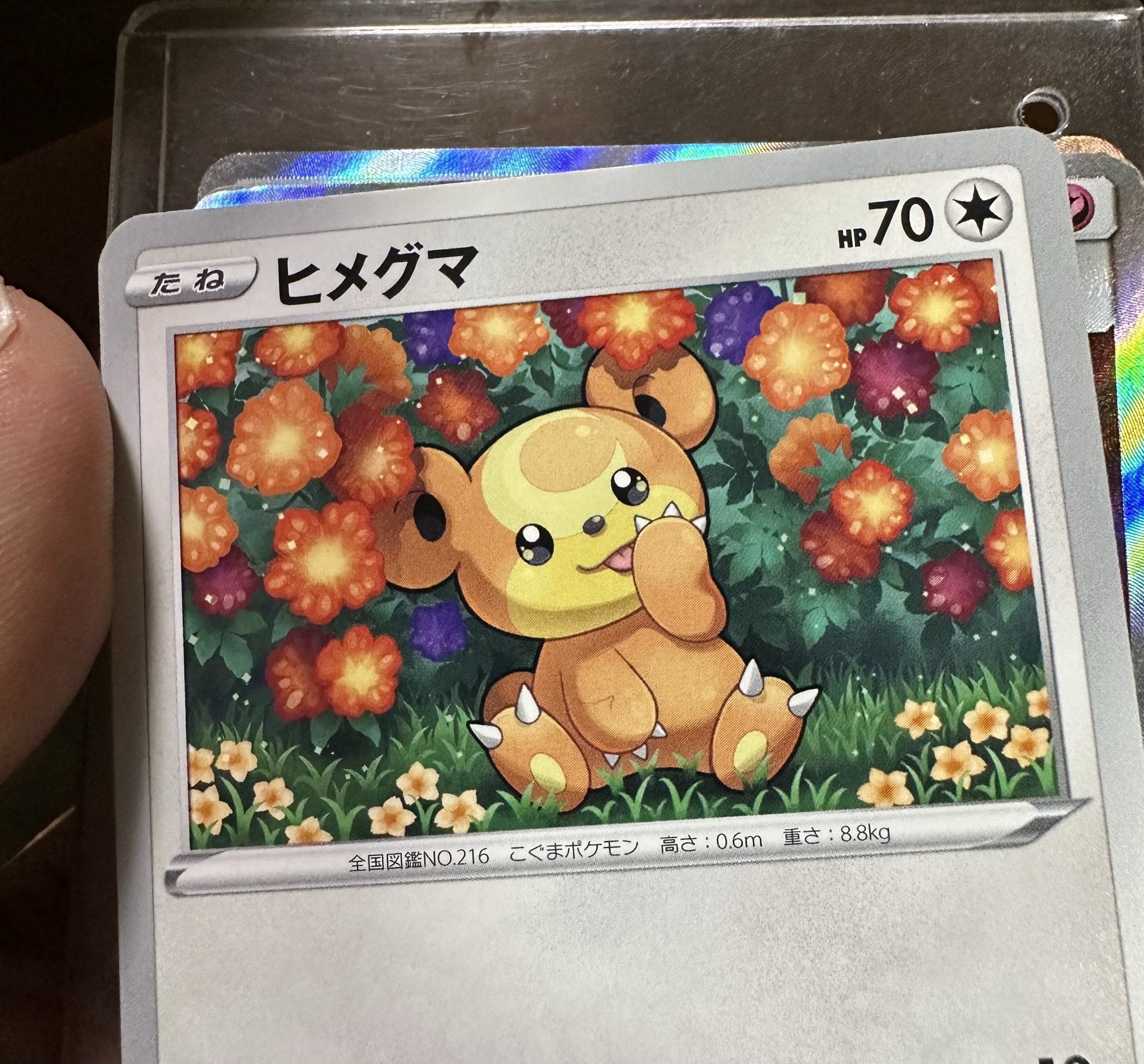 ポケカのヒメグマ可愛い - ワイン買取会社の社長ブログ